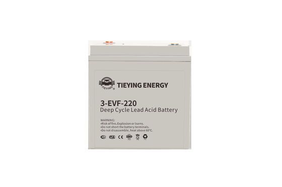 Un buen precio. Almacenamiento para automóviles de golf Batería de plomo no derramable 3-EVF-220 34+-0.5kg en línea