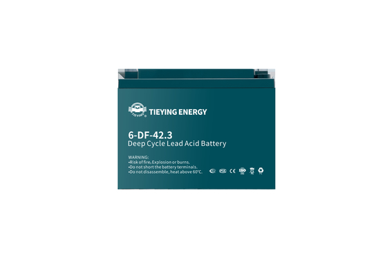 calidad Triciclo eléctrico recargable 12v batería de plomo y ácido 42.3Ah 6-DF-42.3 fábrica