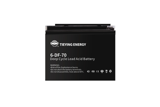 quality ISO9001 Rechargeable Maintenance Free Sealed Lead Acid Battery 12v 70ah 6-DF-70 For Electric Tricycle factory