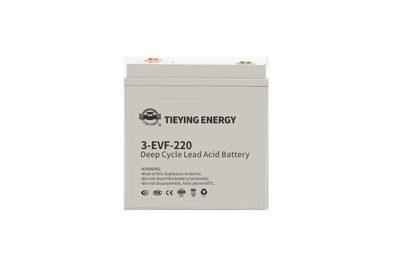 Goede prijs. Golfwagenopslag Niet-vervuilbare loodzuurbatterij 3-EVF-220 34+-0,5 kg online
